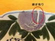 画像5: ヴィンテージ 手描き上絵付け 彩り花大皿 (5)